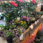 ７月３０日（日）はまテラスフェスティバル出店者のご紹介です！