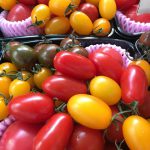 8月29日（火）はまテラスマルシェ出店者のご紹介です！