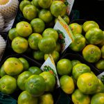 9月26日（火）はまテラスマルシェ出店者のご紹介です！