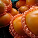 10月10日（火）はまテラスマルシェ出店者のご紹介です！