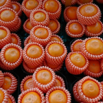 2018年4月からココカラ・リオーネの開催場所が変わります