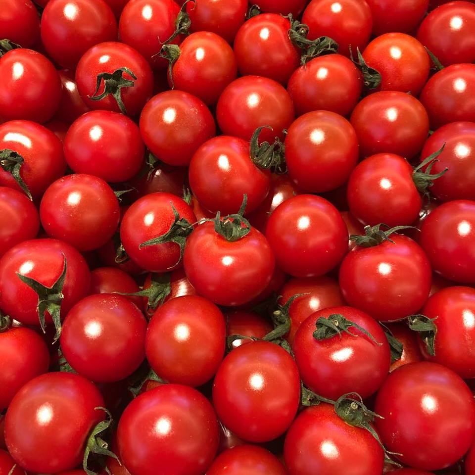 6月27日(火)〜7月9日(日)MMテラスマルシェ出店者のご紹介です！